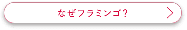 なぜフラミンゴ?