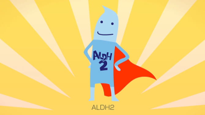 動画で「ALDH2」の働きをチェック！