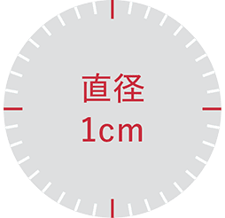 直径1cm