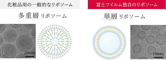 化粧品用の一般的なリポソームと富士フィルム独自のリポソームの比較イメージ