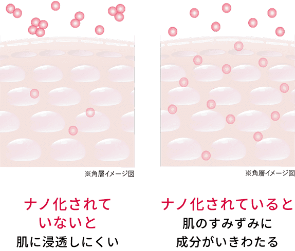 ナノ化のイメージ図