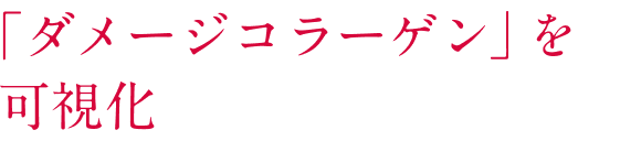 「ダメージコラーゲン」を可視化