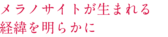 メラノサイトが生まれる経緯を明らかに