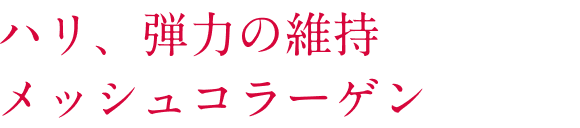ハリ、弾力の維持メッシュコラーゲン