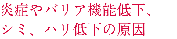 炎症やバリア機能低下、シミ、ハリ低下の原因