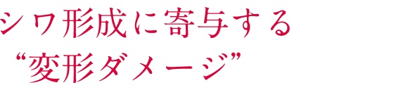 シワ形成に寄与する"変形ダメージ"