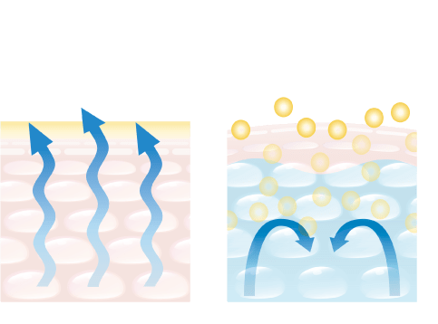 高保水ナノ化ワセリン に、期待せよ！