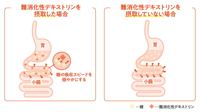 腸内細菌の種類