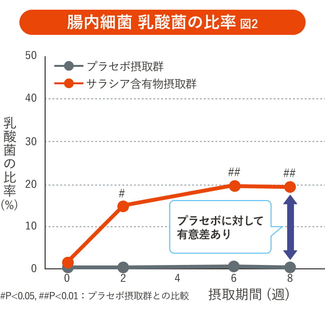 腸内細菌 乳酸菌の比率 図2