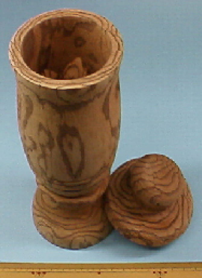 サラシアの幹や根から作られたコップ イメージ
