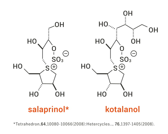 サラシアの有効成分「サラシノール」や「コタラノール」のイメージ