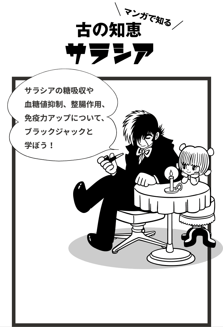 マンガで知る 古の知恵 サラシア