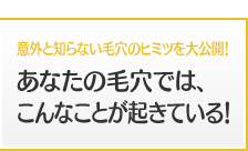 意外と知らない毛穴のヒミツを大公開！あなたの毛穴では、こんなことが起きている！
