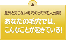 意外と知らない毛穴のヒミツを大公開！あなたの毛穴では、こんなことが起きている！