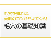毛穴を知れば、美肌のコツが見えてくる！毛穴の基礎知識