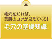 毛穴を知れば、美肌のコツが見えてくる！毛穴の基礎知識