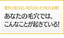 意外と知らない毛穴のヒミツを大公開！あなたの毛穴では、こんなことが起きている！
