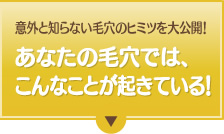 意外と知らない毛穴のヒミツを大公開！あなたの毛穴では、こんなことが起きている！