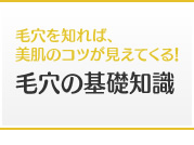 毛穴を知れば、美肌のコツが見えてくる！毛穴の基礎知識