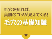 毛穴を知れば、美肌のコツが見えてくる！毛穴の基礎知識