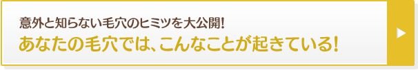 意外と知らない毛穴のヒミツを大公開！あなたの毛穴では、こんなことが起きている！