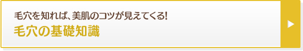 毛穴を知れば、美肌のコツが見えてくる！毛穴の基礎知識