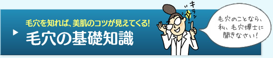 毛穴の基礎知識