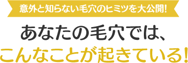 意外と知らない毛穴のヒミツを大公開！あなたの毛穴では、こんなことが起きている！