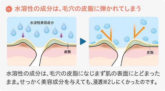 目指せ 毛穴悩みスッキリの肌 ルナメア Fujifilm