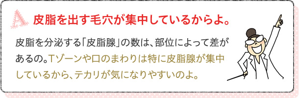 皮脂を出す毛穴が集中しているからよ。