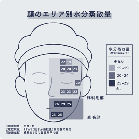 顔のエリア別水分蒸発量　イメージ図