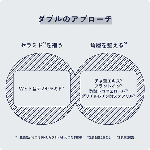 ダブルのアプローチ　イメージ図
