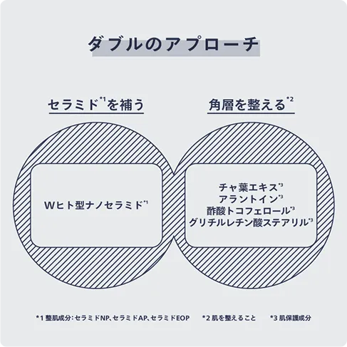 ダブルのアプローチ　イメージ図