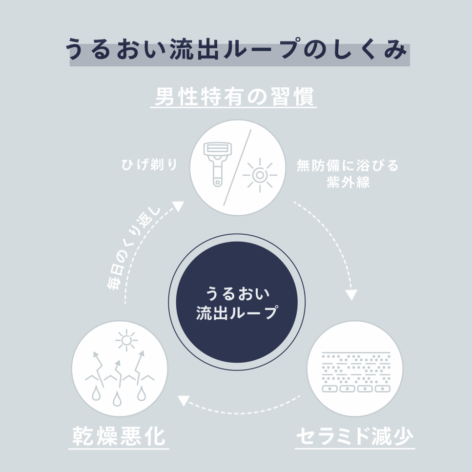 うるおい流出ループのしくみ　イメージ図