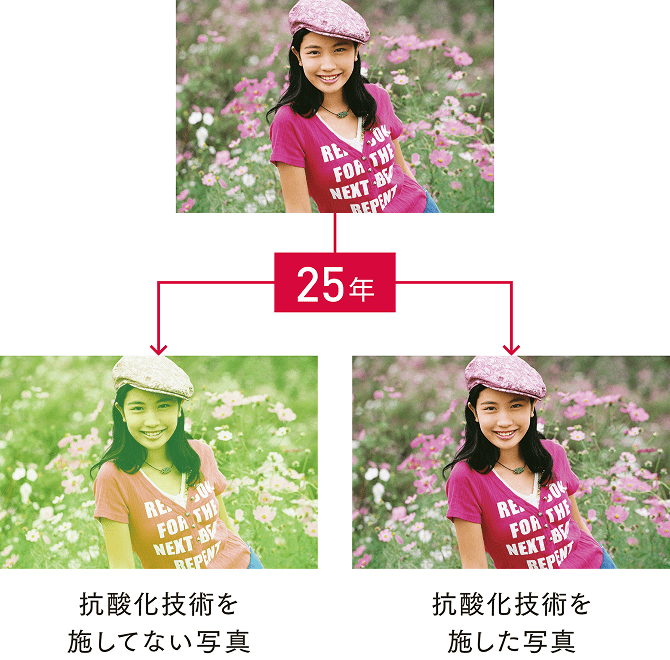 写真の“色あせ”の原因は抗酸化